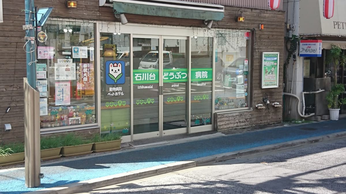 石川台どうぶつ病院