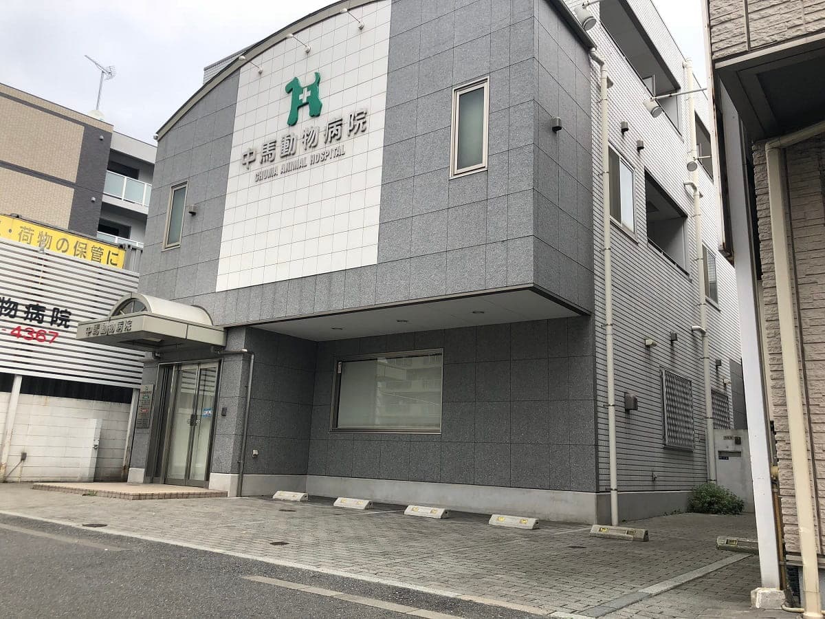 中馬動物病院