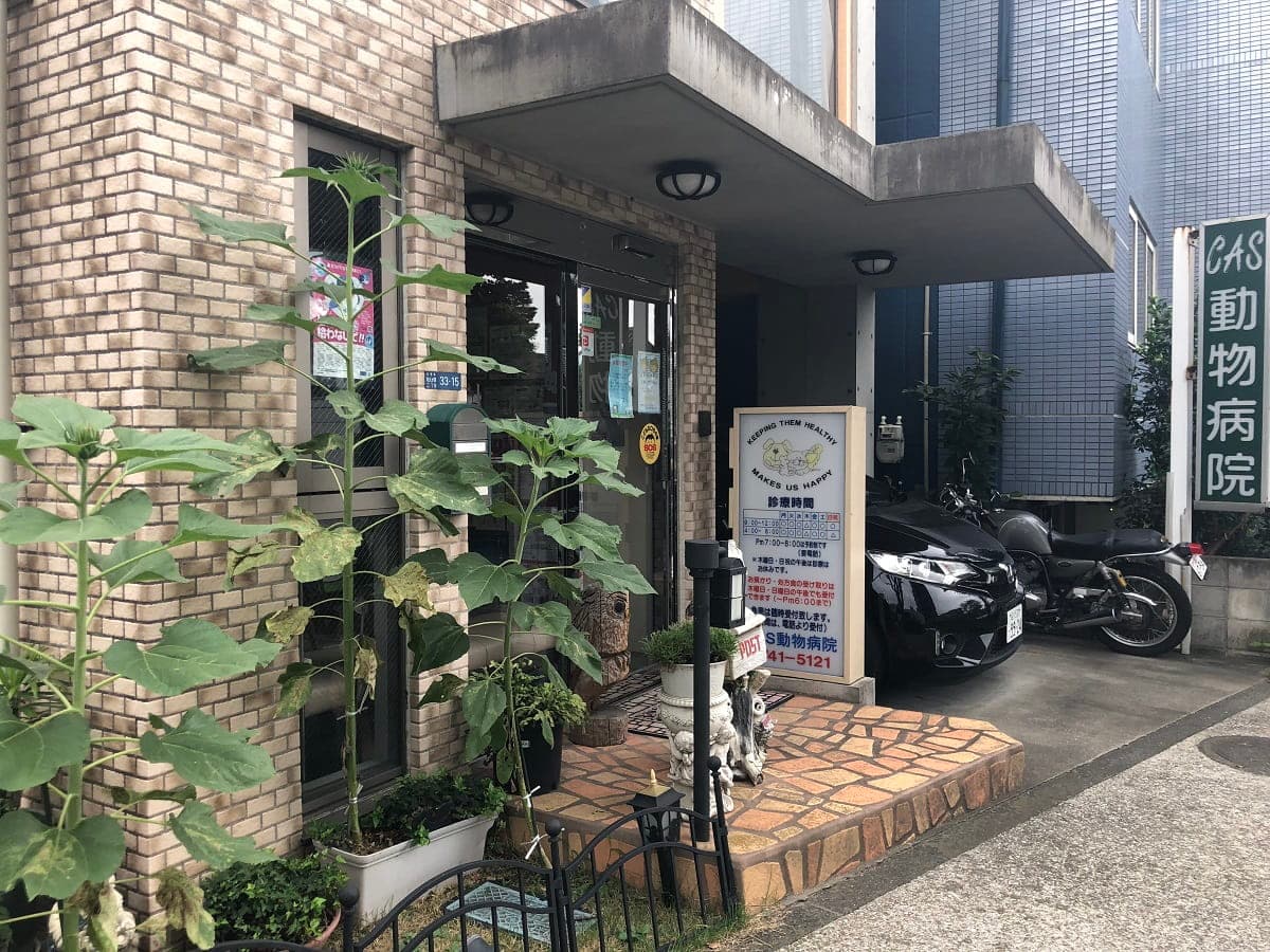 CAS動物病院