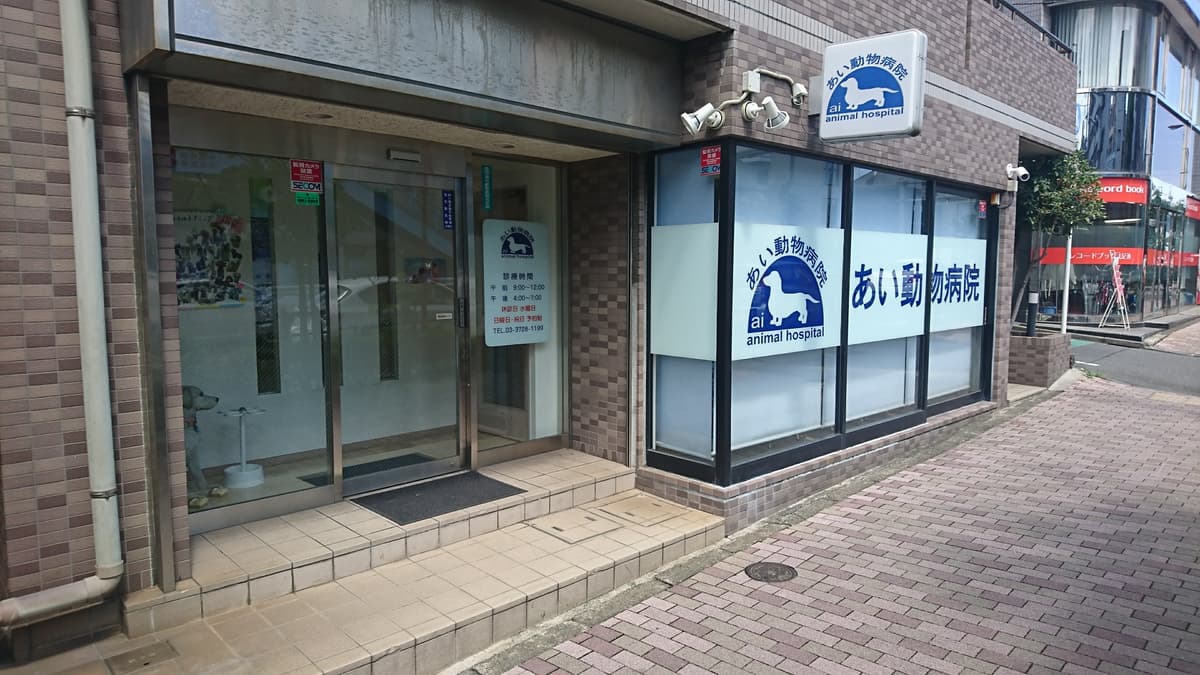 あい動物病院