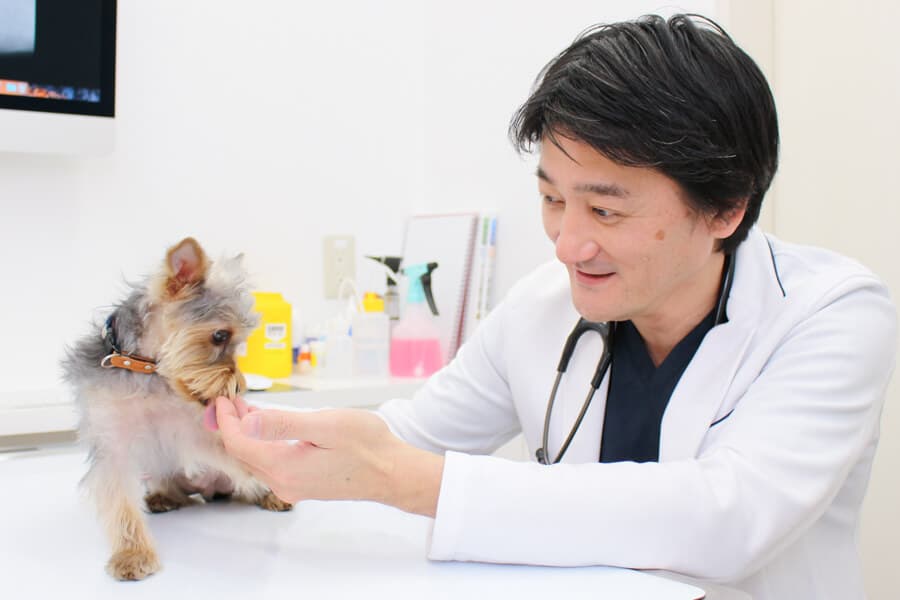 桜新町動物病院
