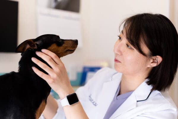 PET CARE CLINIC PILINA