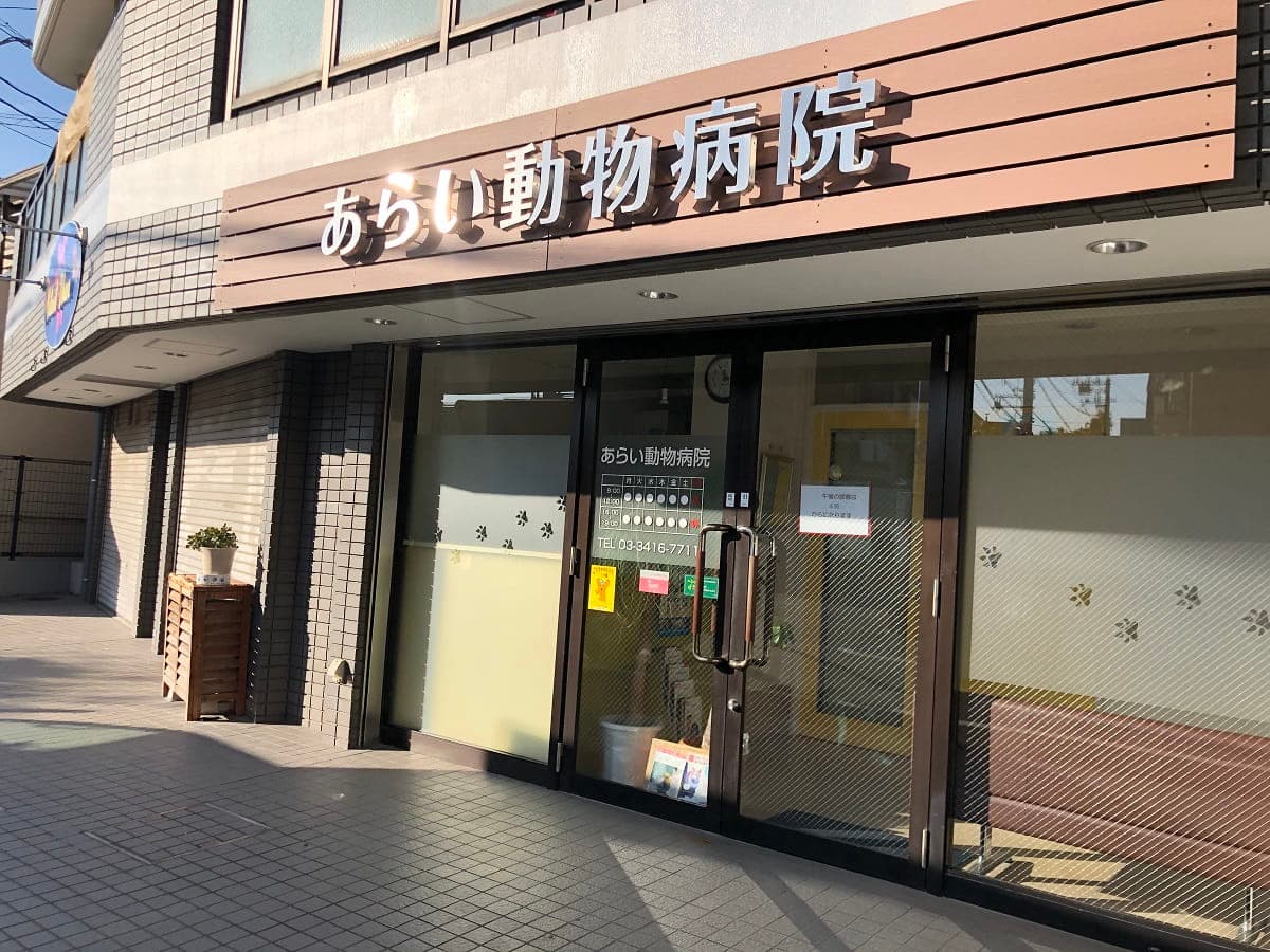あらい動物病院