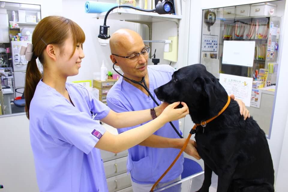 ナガエ動物病院