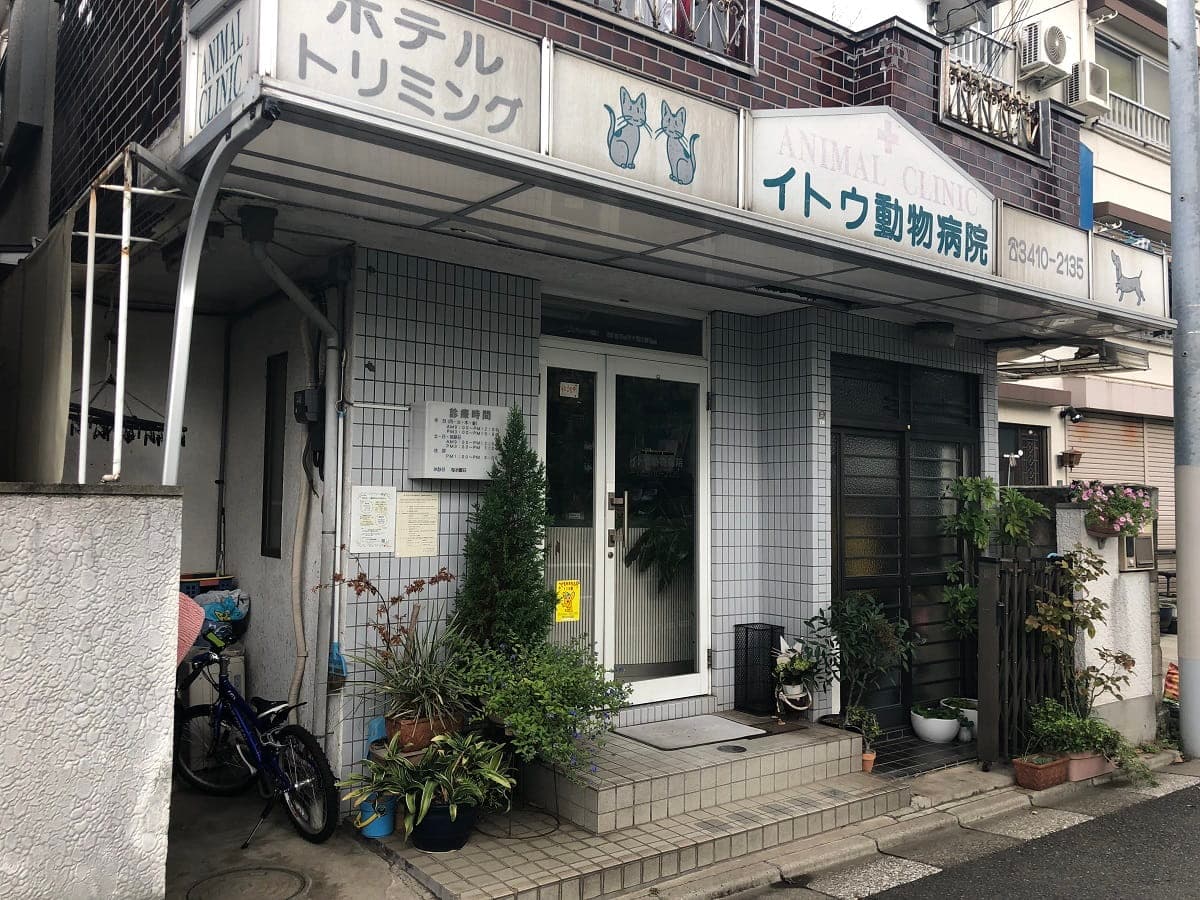 イトウ動物病院
