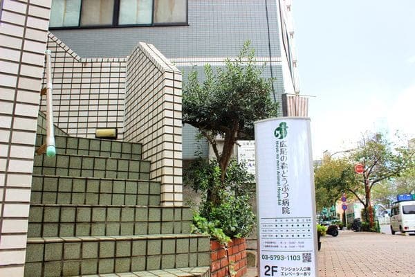 広尾の森どうぶつ病院 2