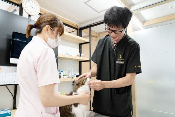 フェンネル動物病院笹塚本院