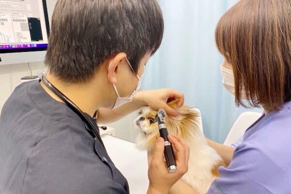 渋谷動物医療センター