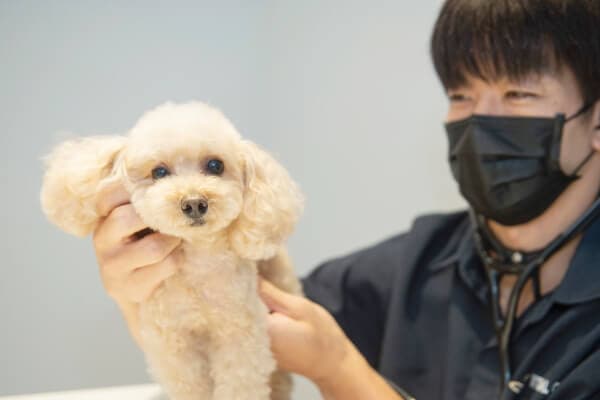 WITH ANIMAL CLINIC 3