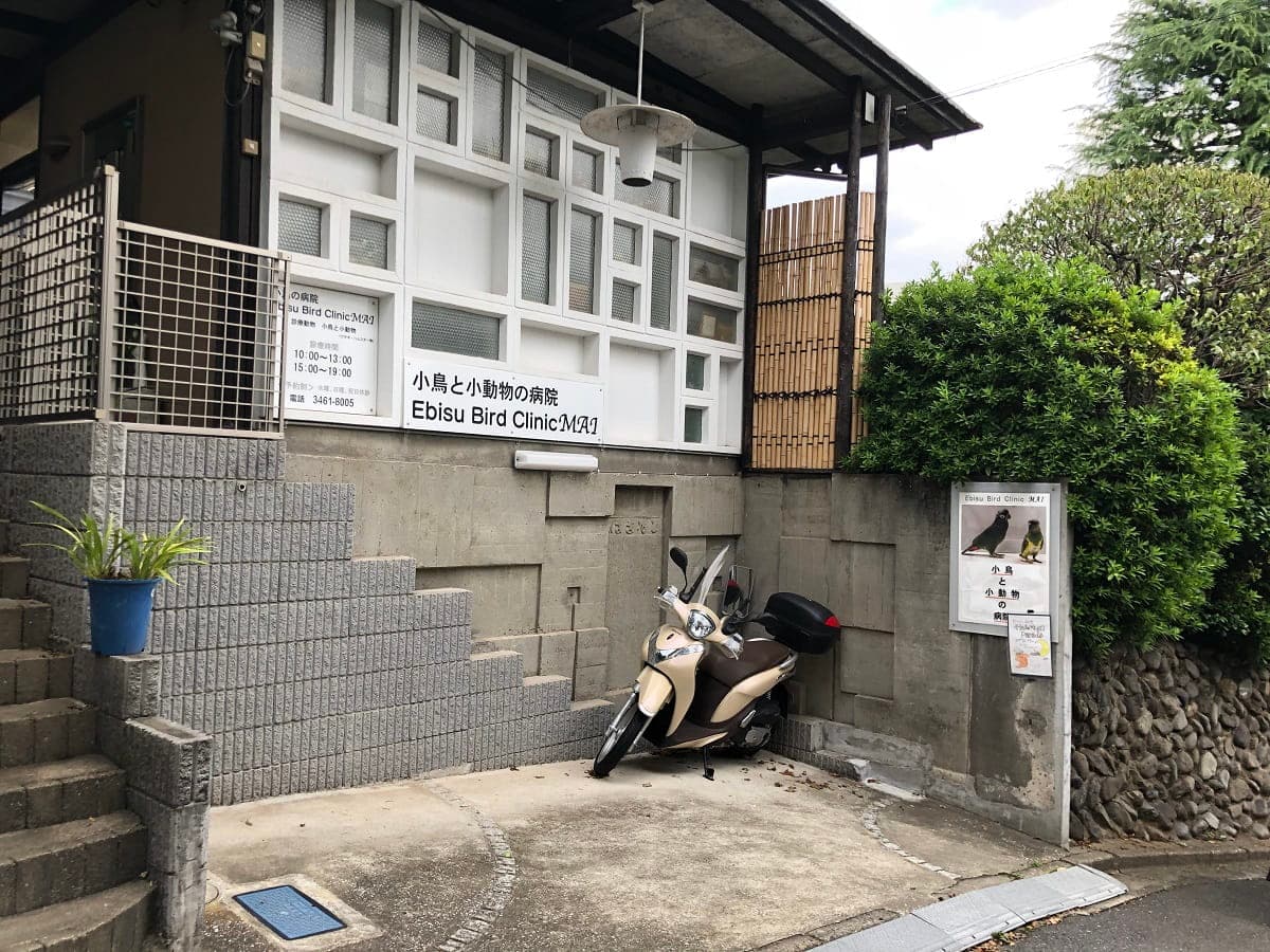 恵比寿ＢｉｒｄＣｌｉｎｉｃＭＡＩ