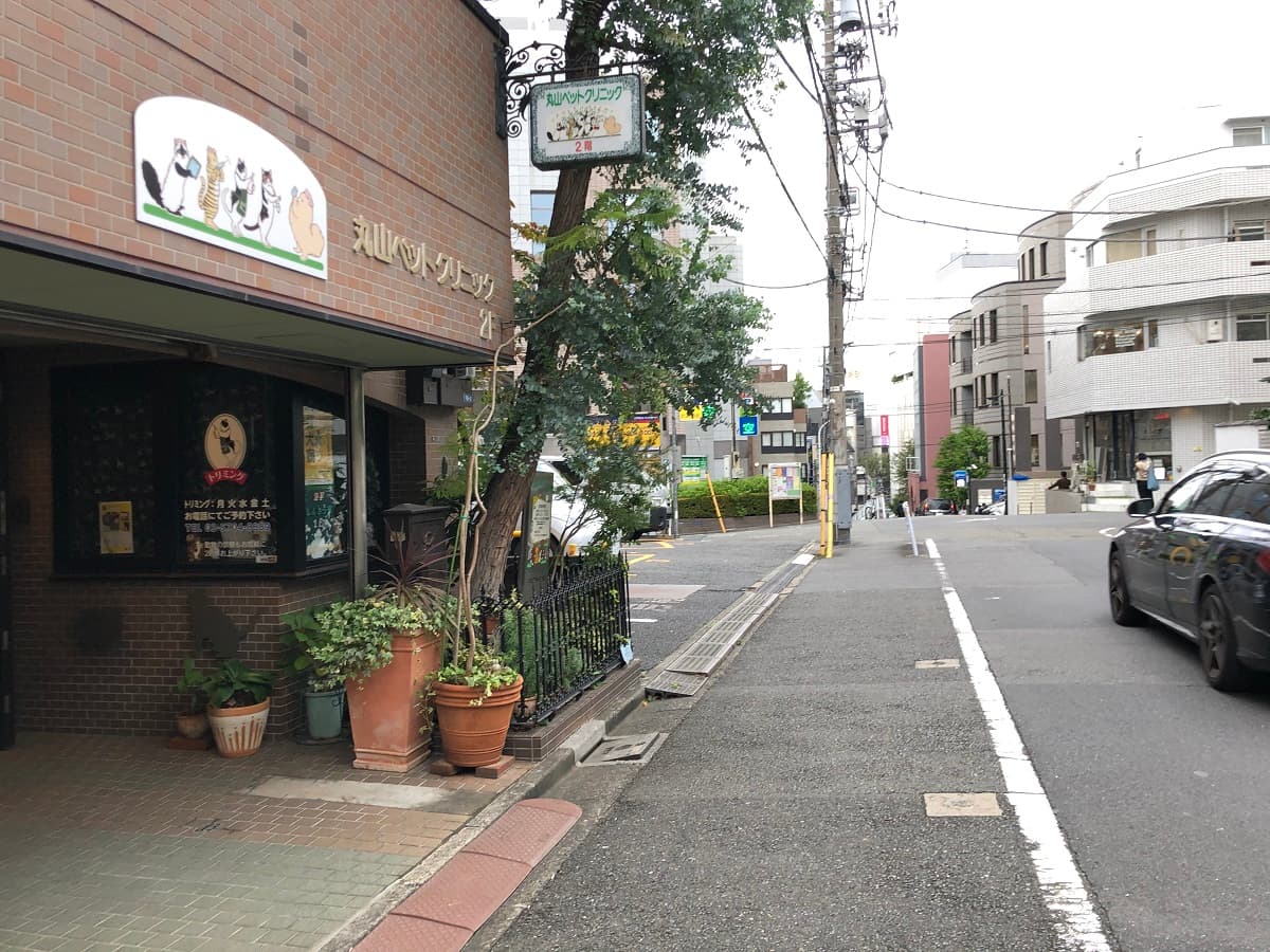丸山ペットクリニック