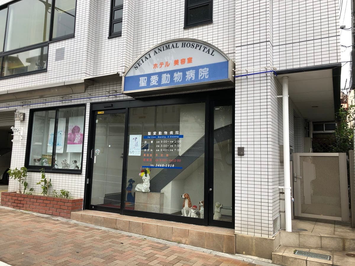 聖愛動物病院