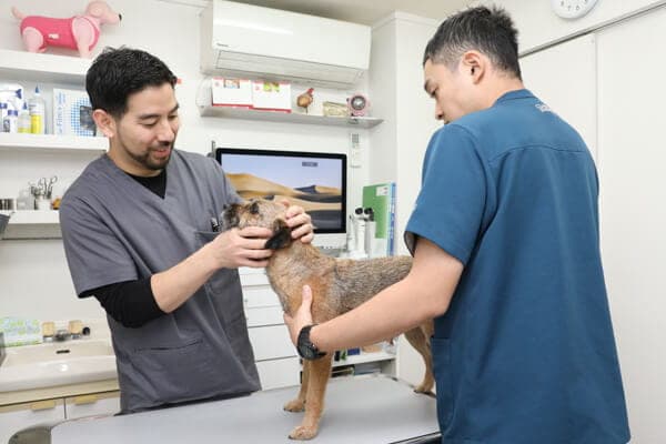 古谷動物病院