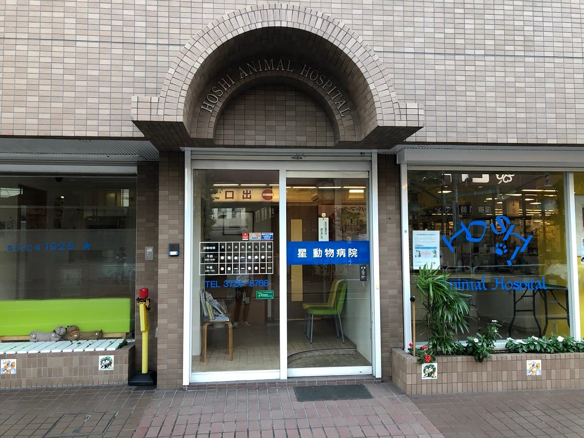 星動物病院