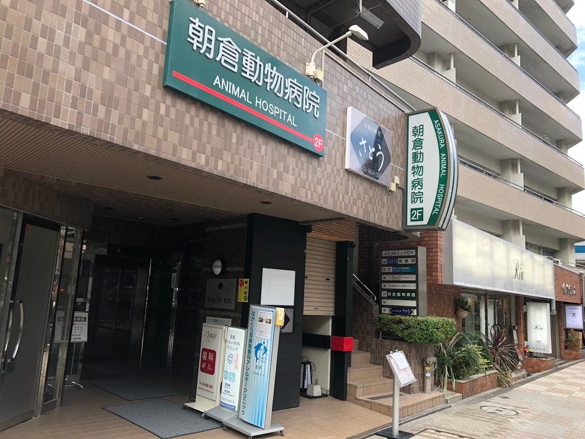 朝倉動物病院