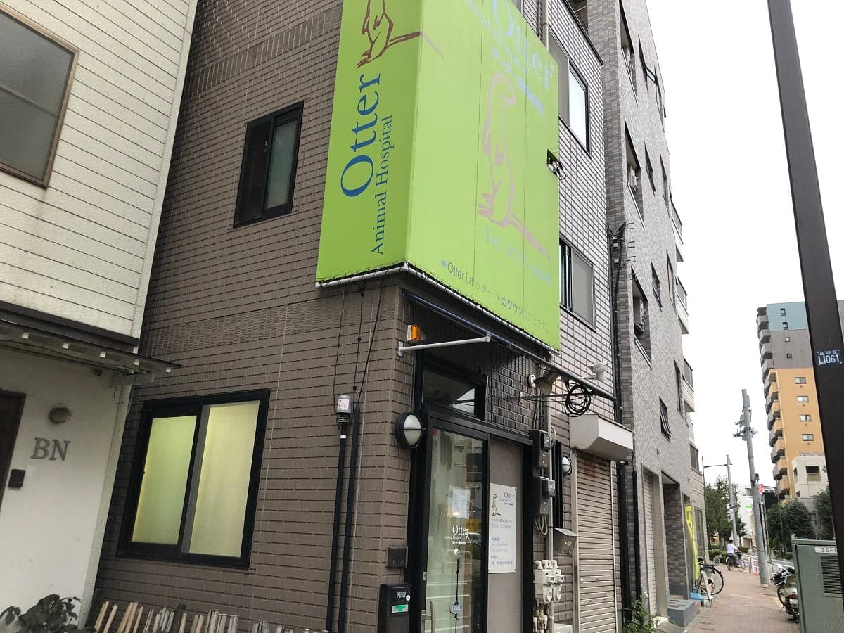 Ｏｔｔｅｒ動物病院