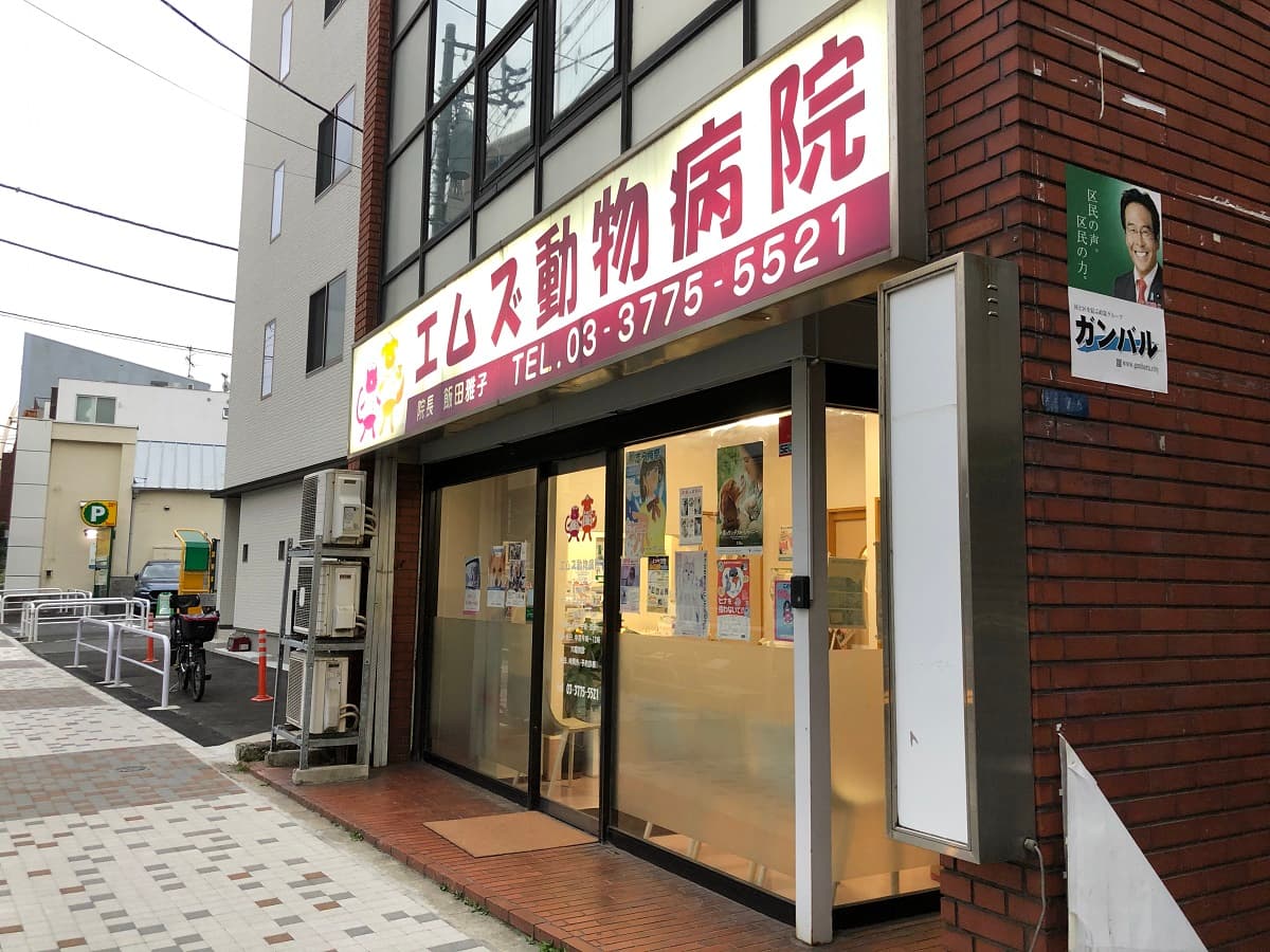エムズ動物病院