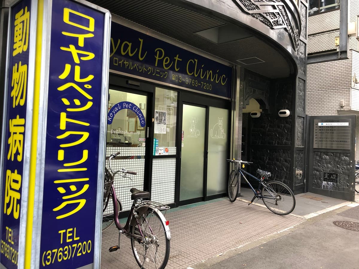 ロイヤルペットクリニック大森海岸
