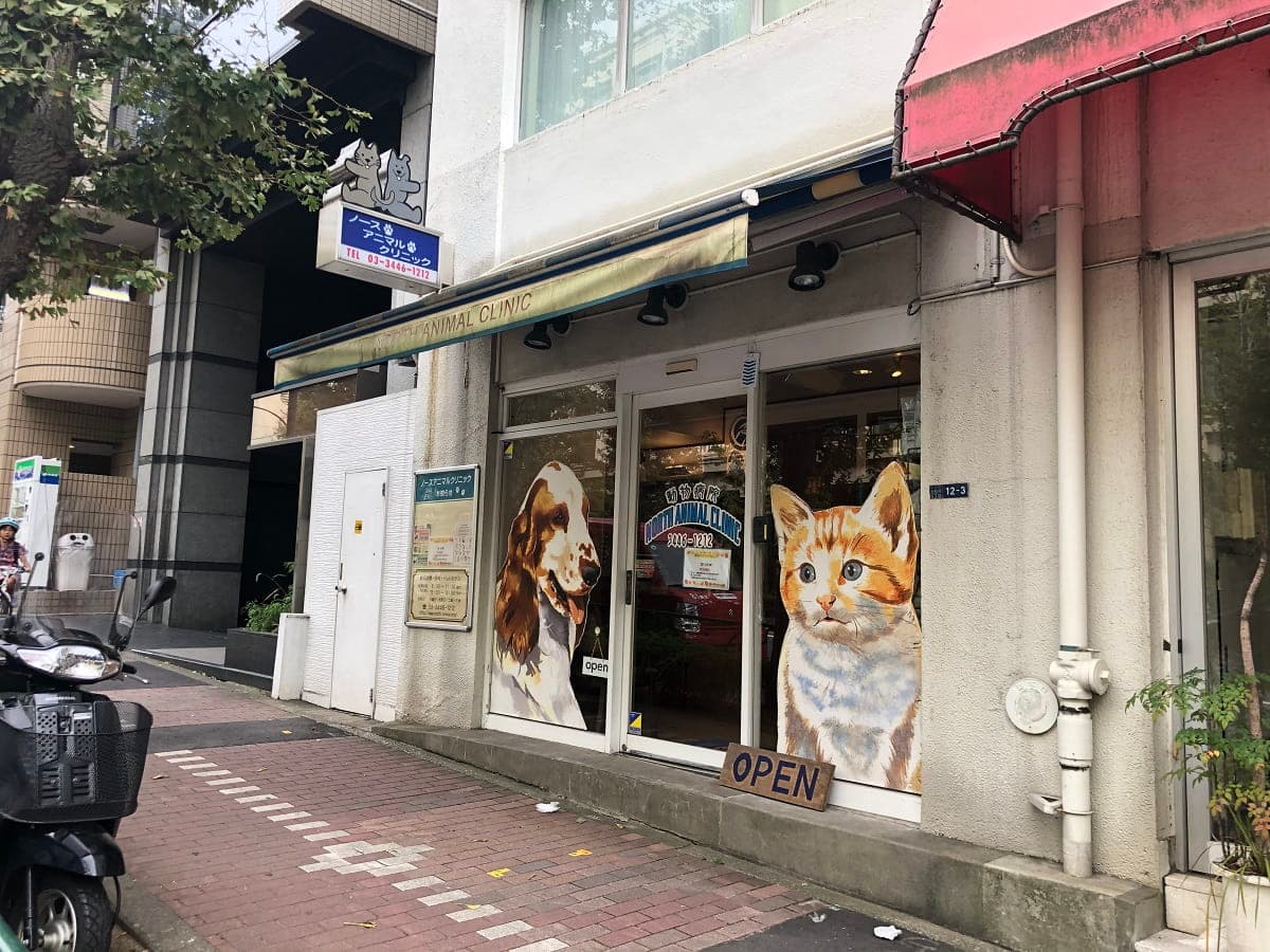 ノースアニマルクリニック