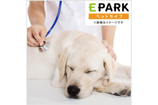 四谷いぬねこクリニックPeco