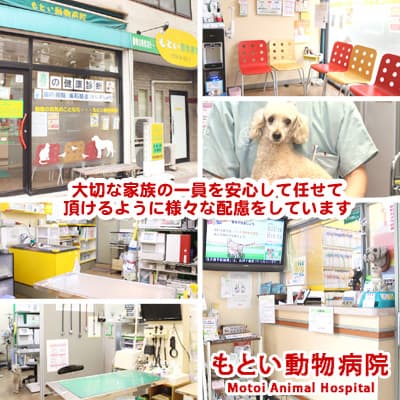 もとい動物病院