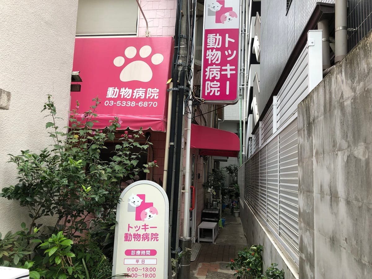 トッキー動物病院