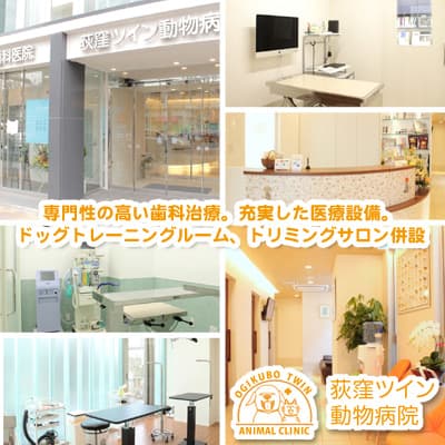 荻窪ツイン動物病院