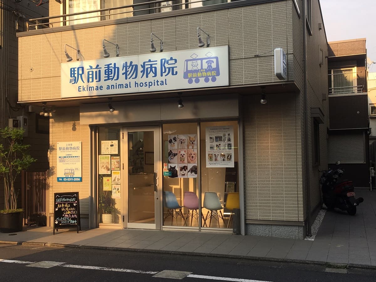駅前動物病院