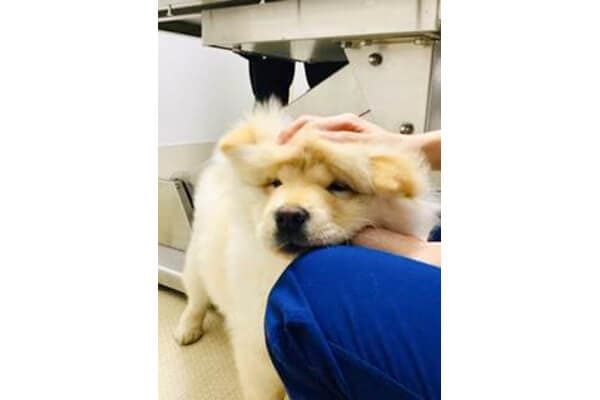 ミ・サ・キ・動物病院 3