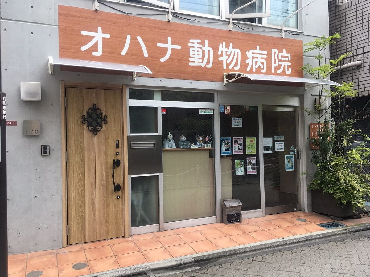オハナ動物病院