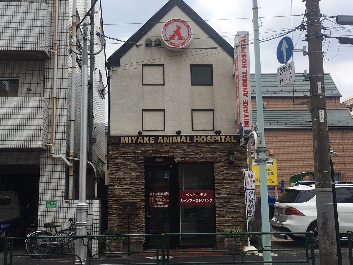 みやけ動物病院