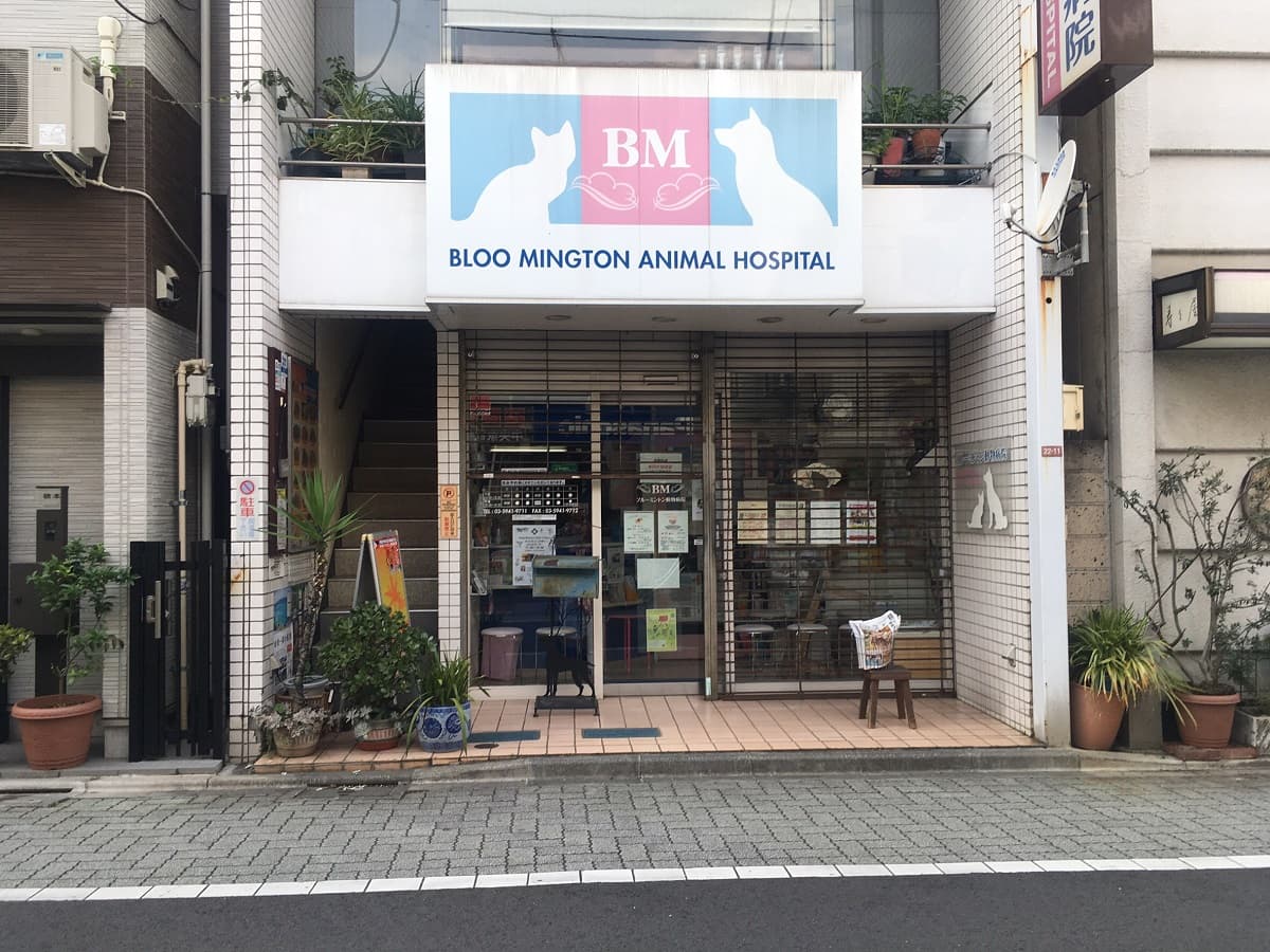 ブルーミントン動物病院
