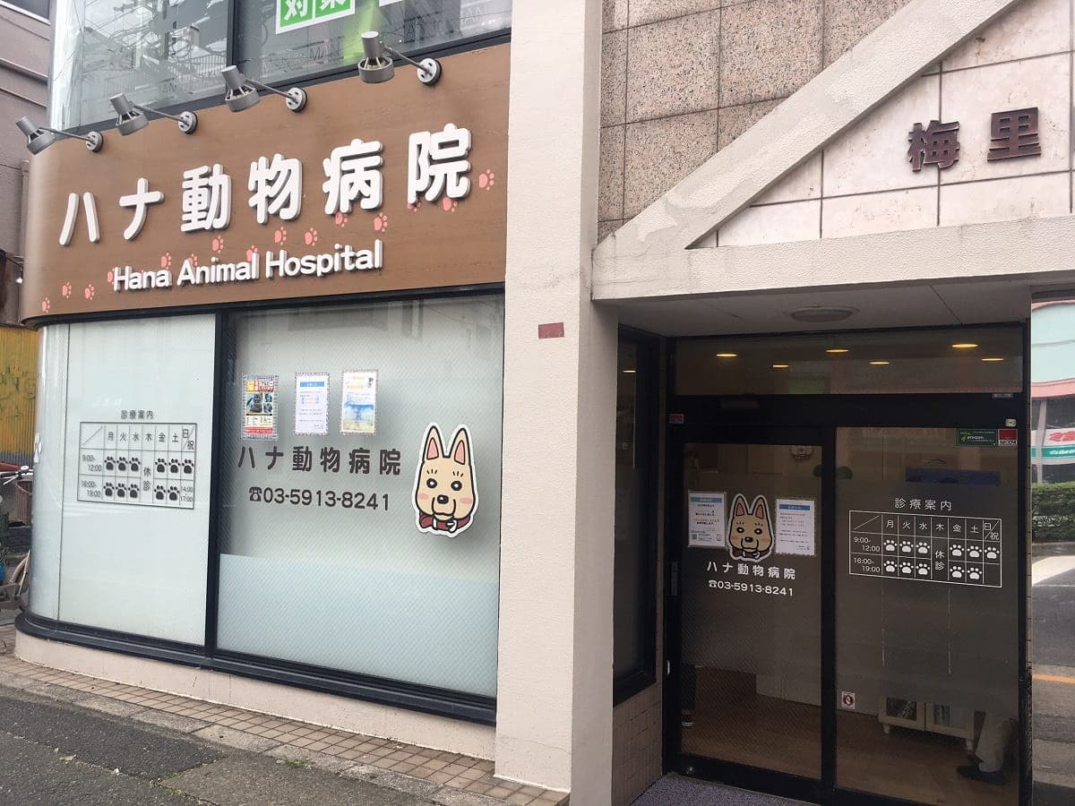 ハナ動物病院