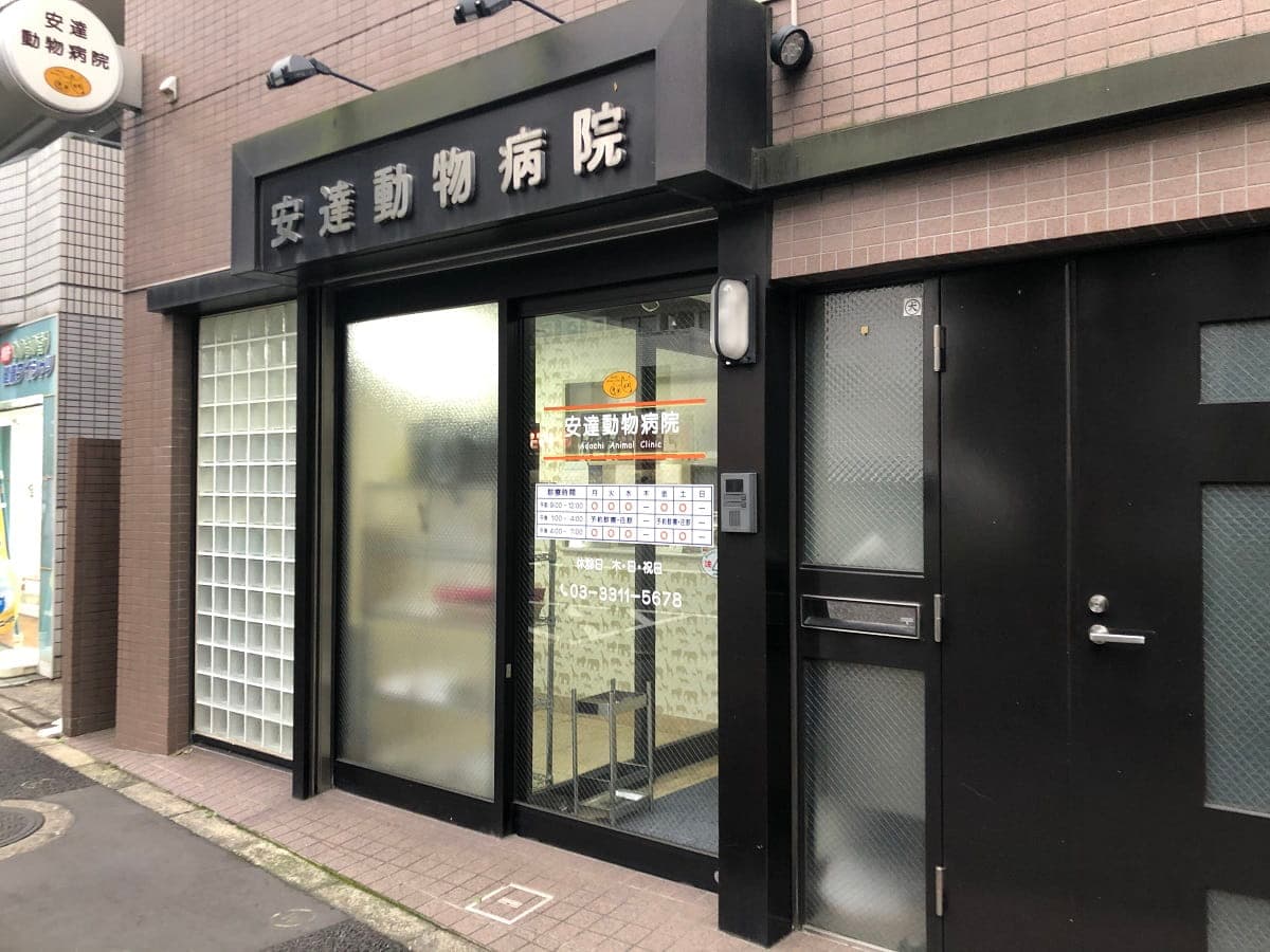 安達動物病院
