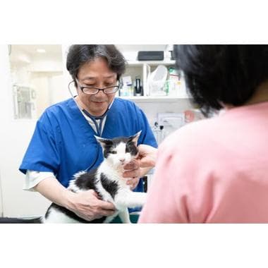 ひらの動物病院