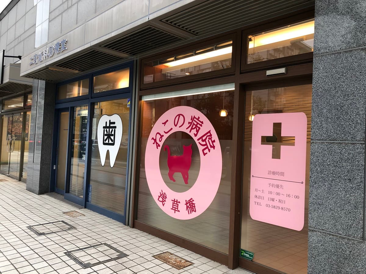 浅草橋 ねこの病院