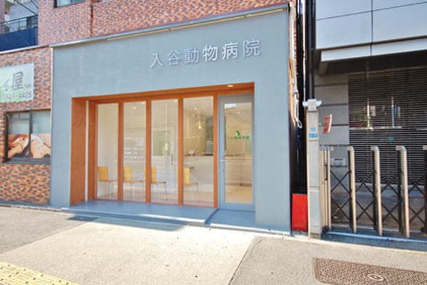 入谷動物病院