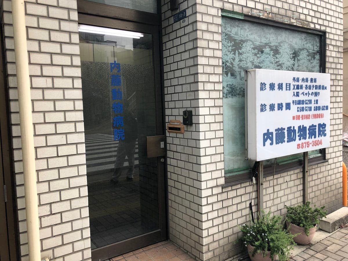 内藤動物病院