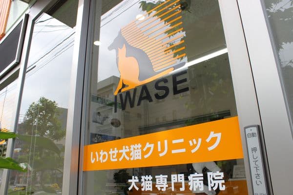 いわせ犬猫クリニック 3
