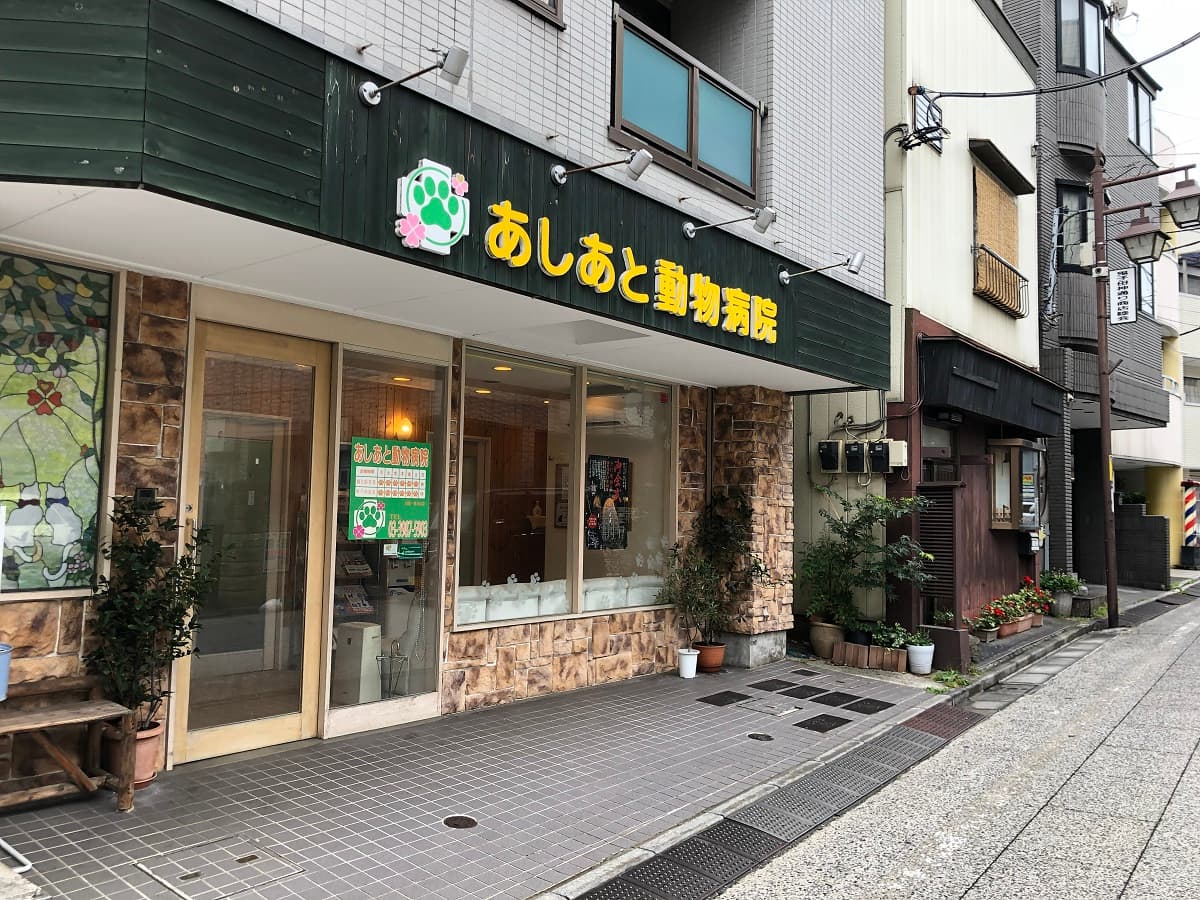あしあと動物病院