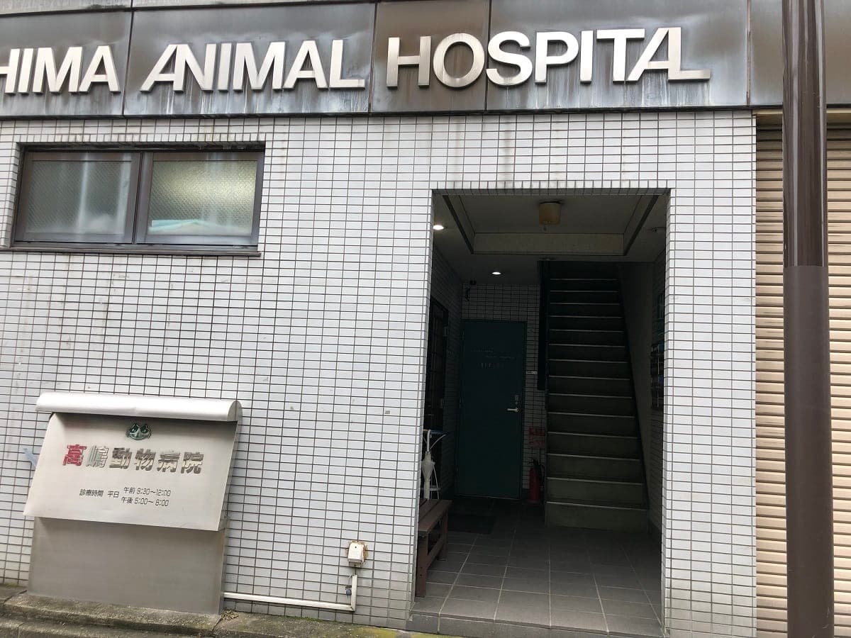 高嶋動物病院