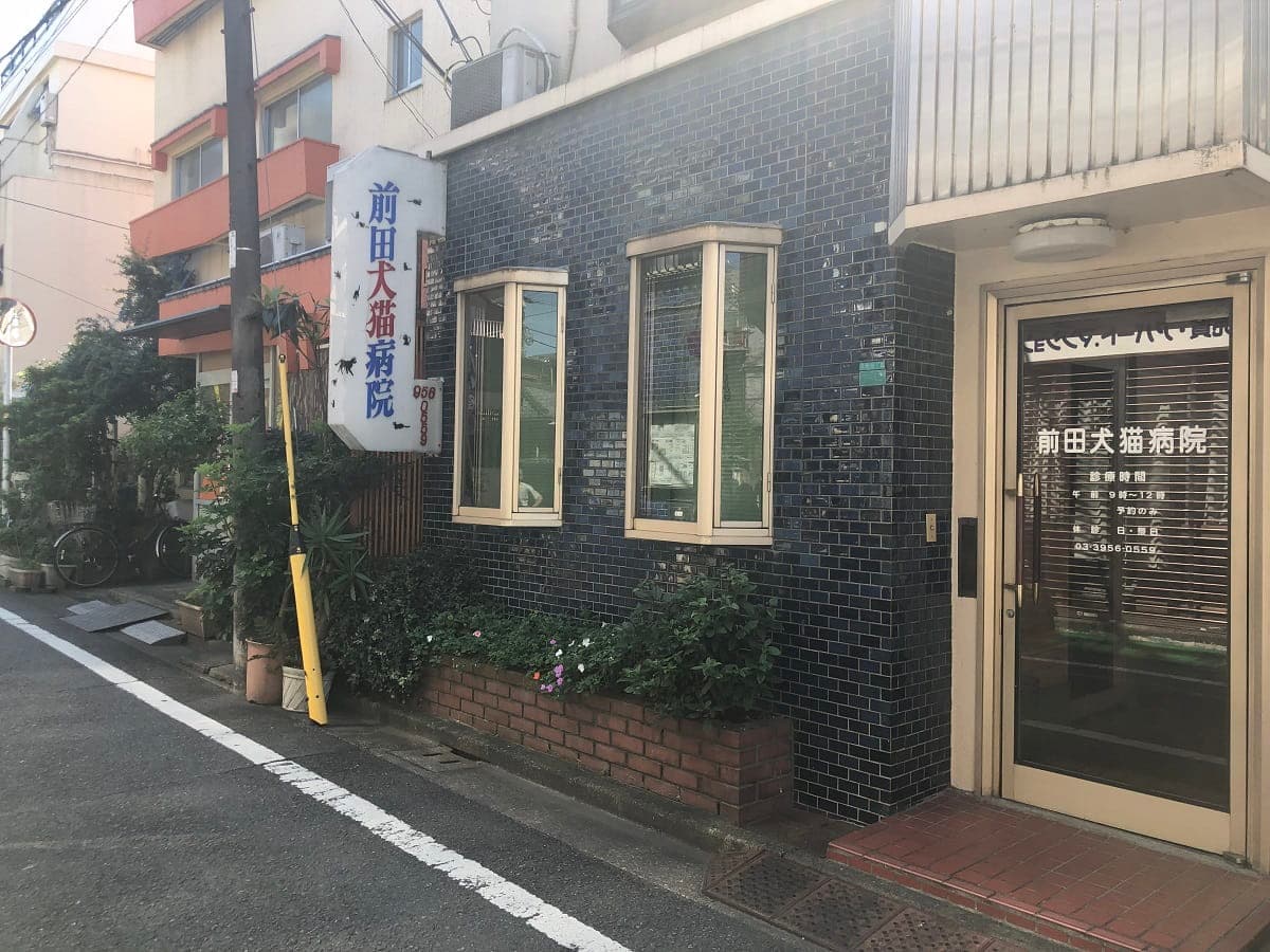 前田犬猫病院