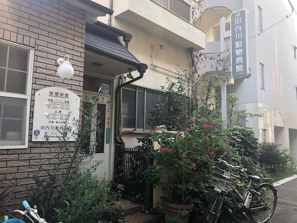 Tauchigawa Animal Clinic